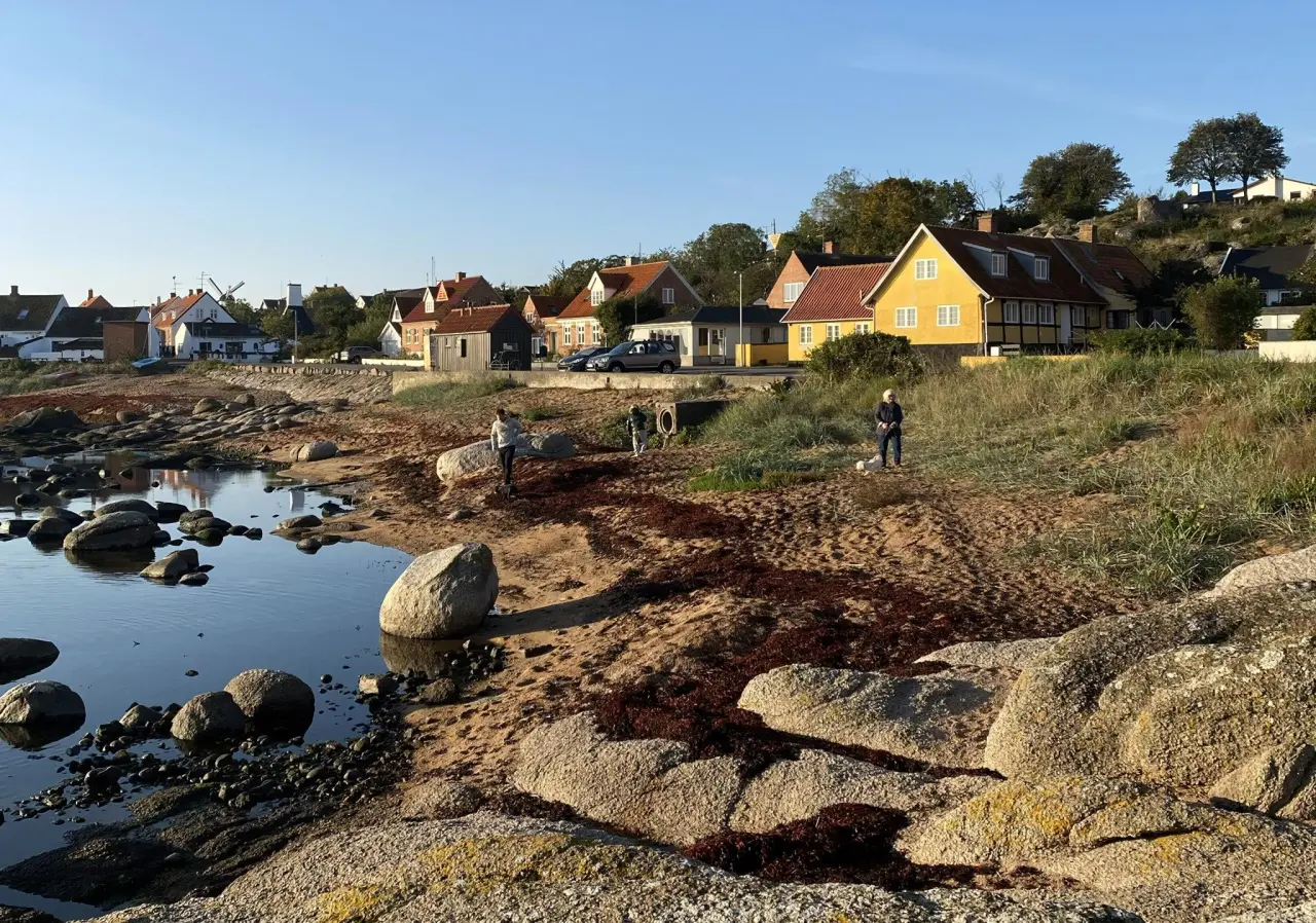 Sommerferielejlighed 3 på skønne Solgården