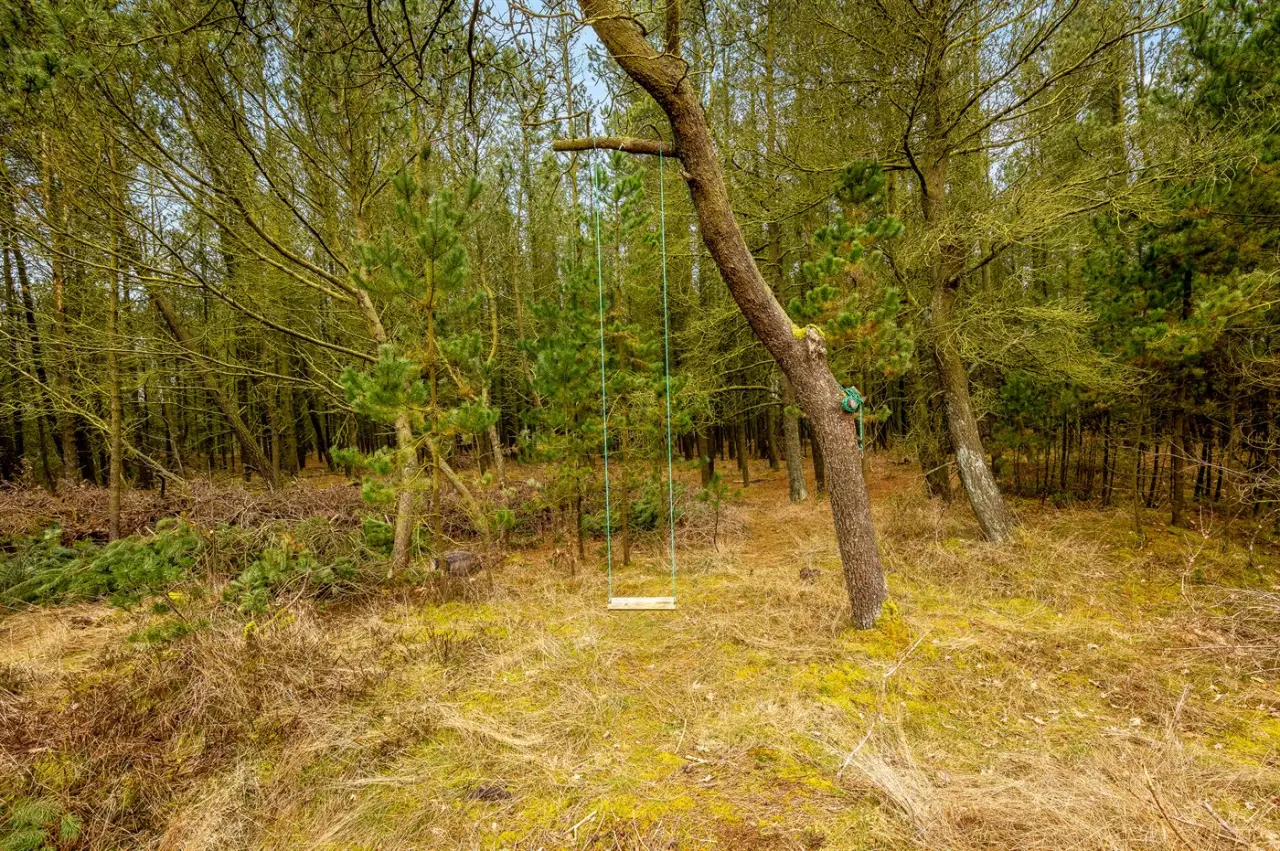 foto26