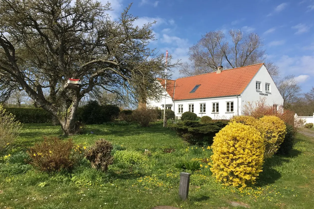 foto1