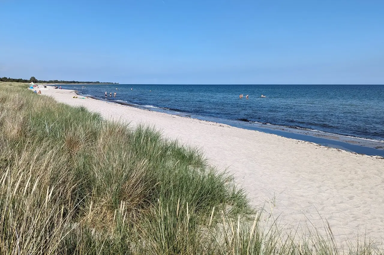 foto16