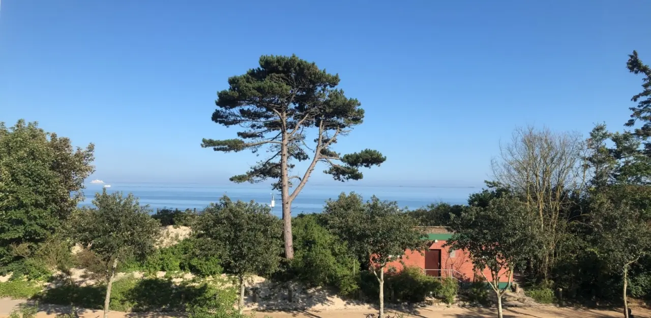 foto16