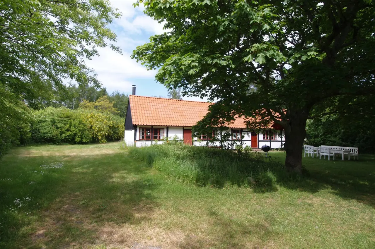 foto16