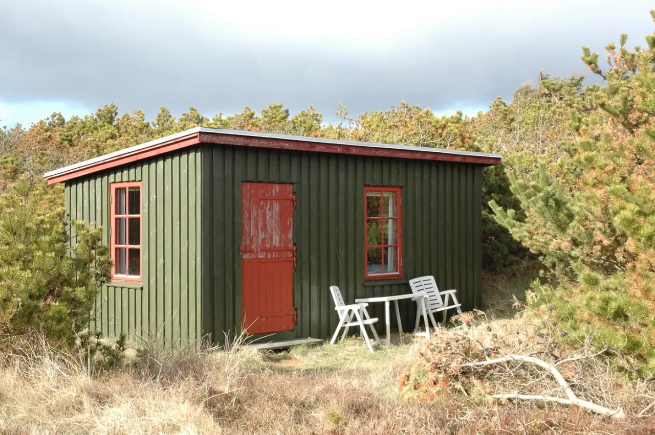 foto2