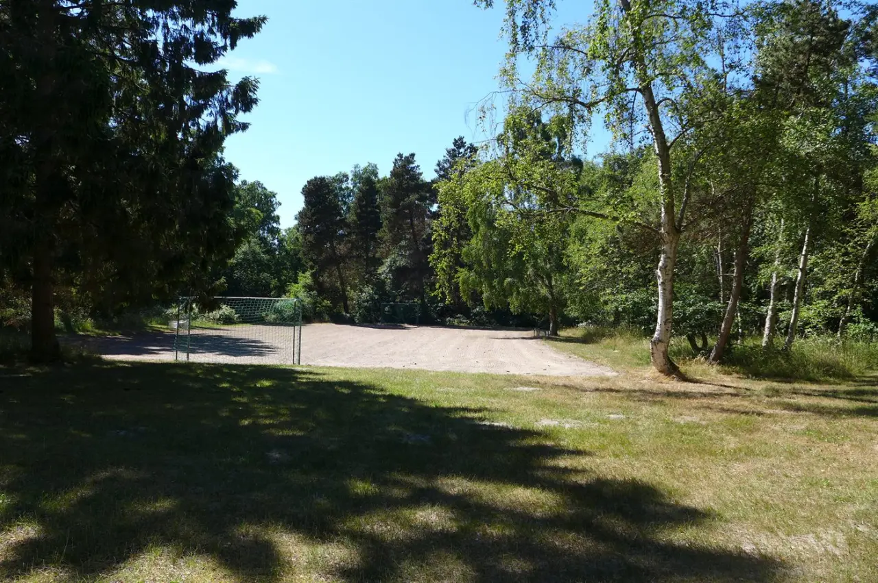 foto41