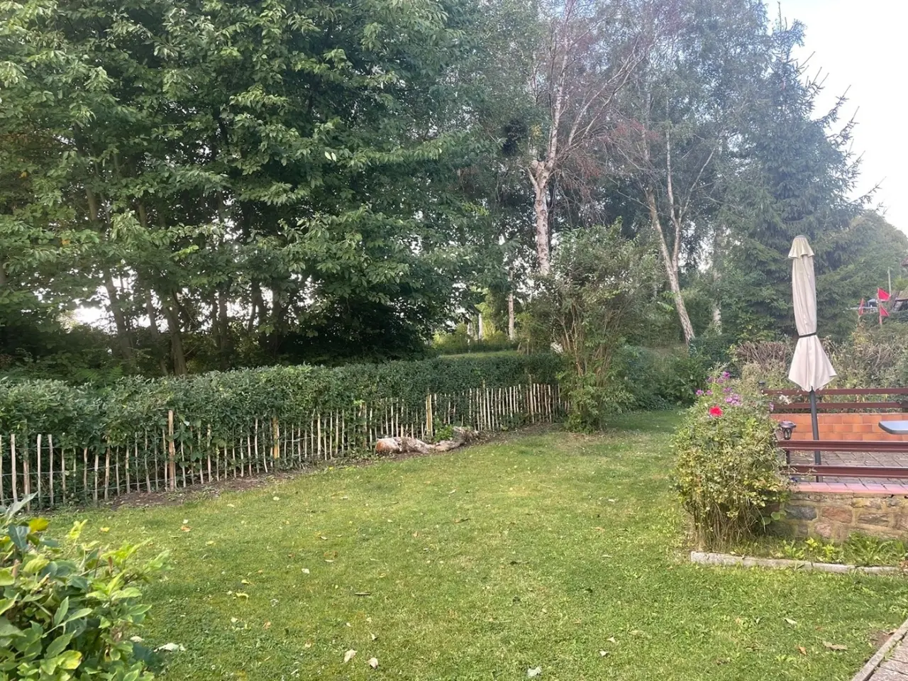 foto3