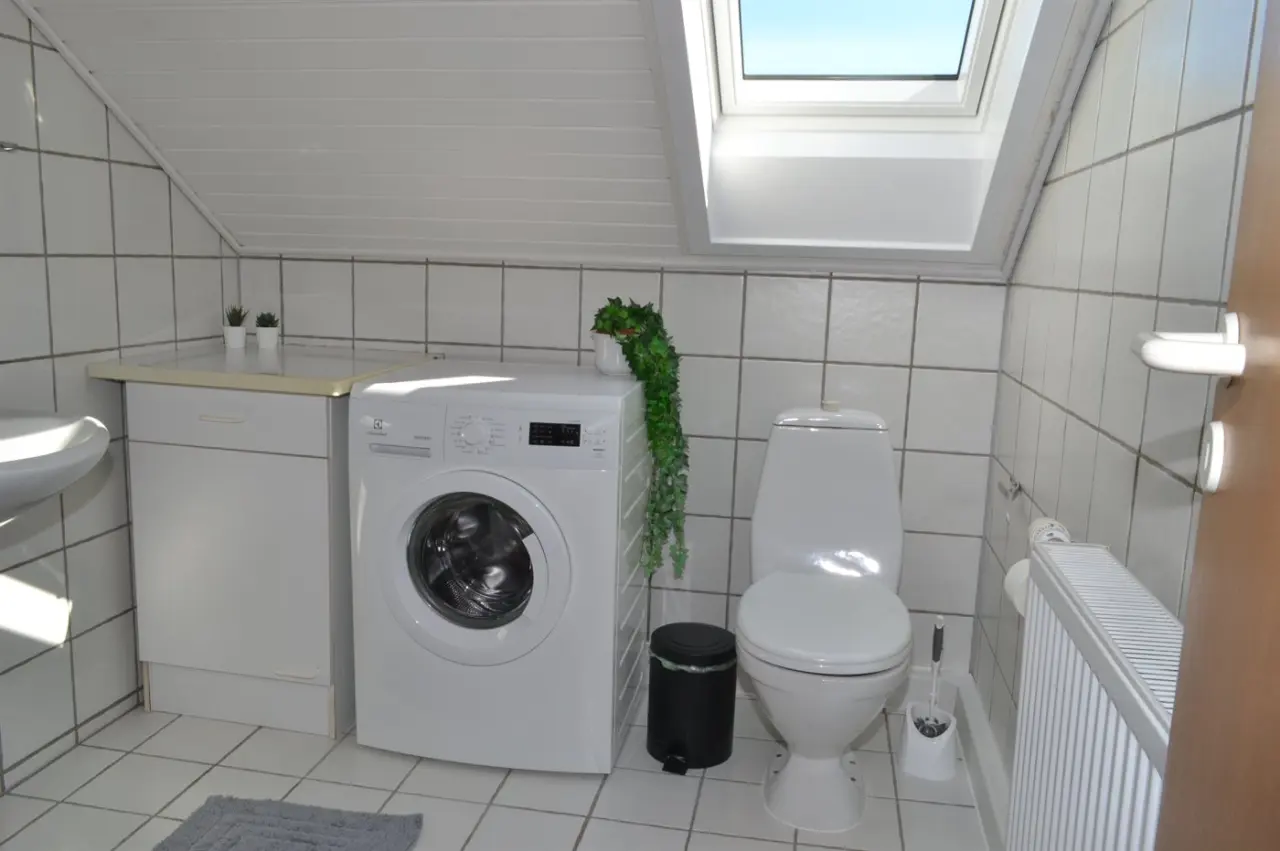 foto7