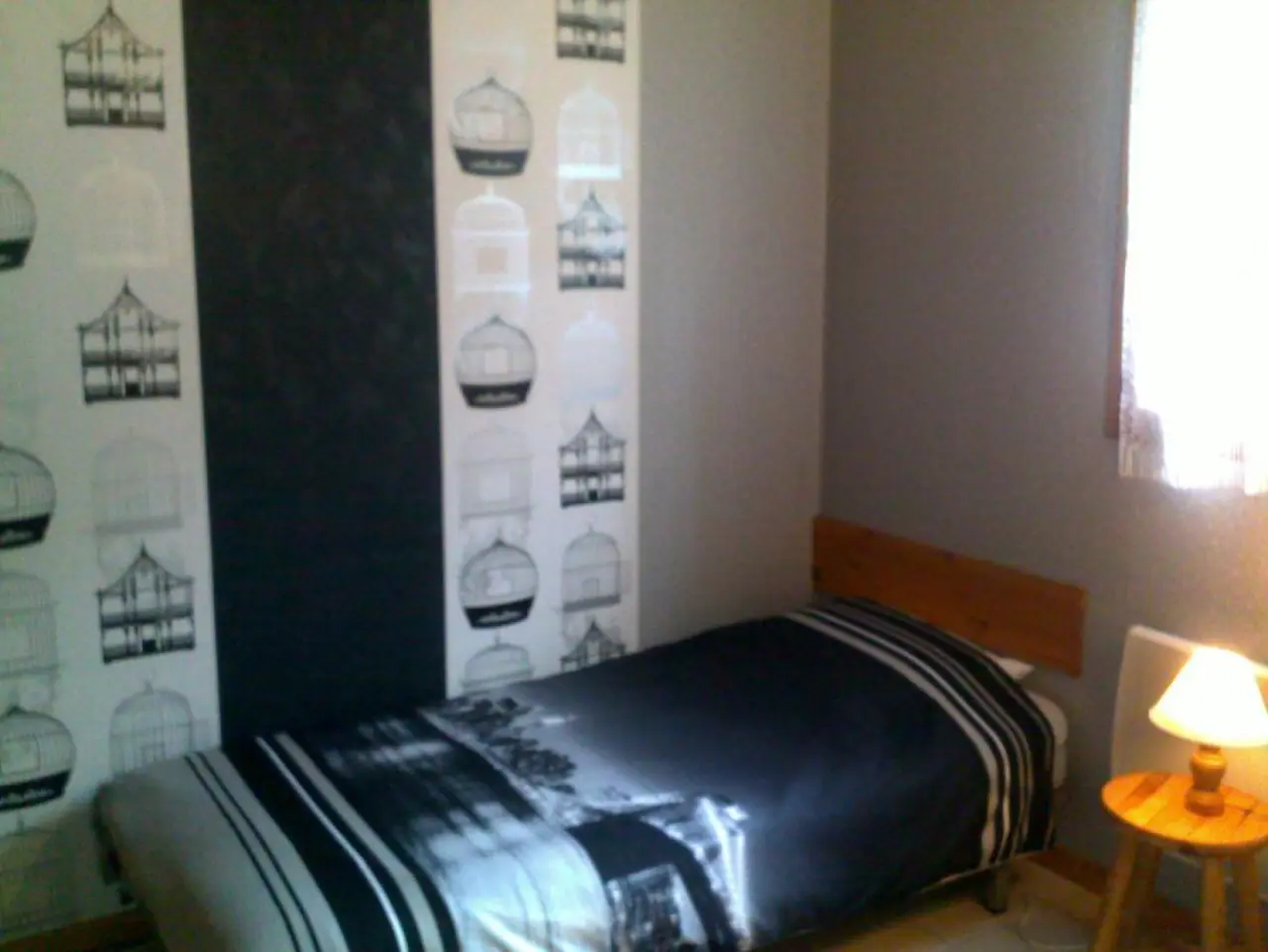 foto7