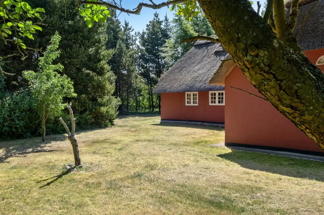 foto11