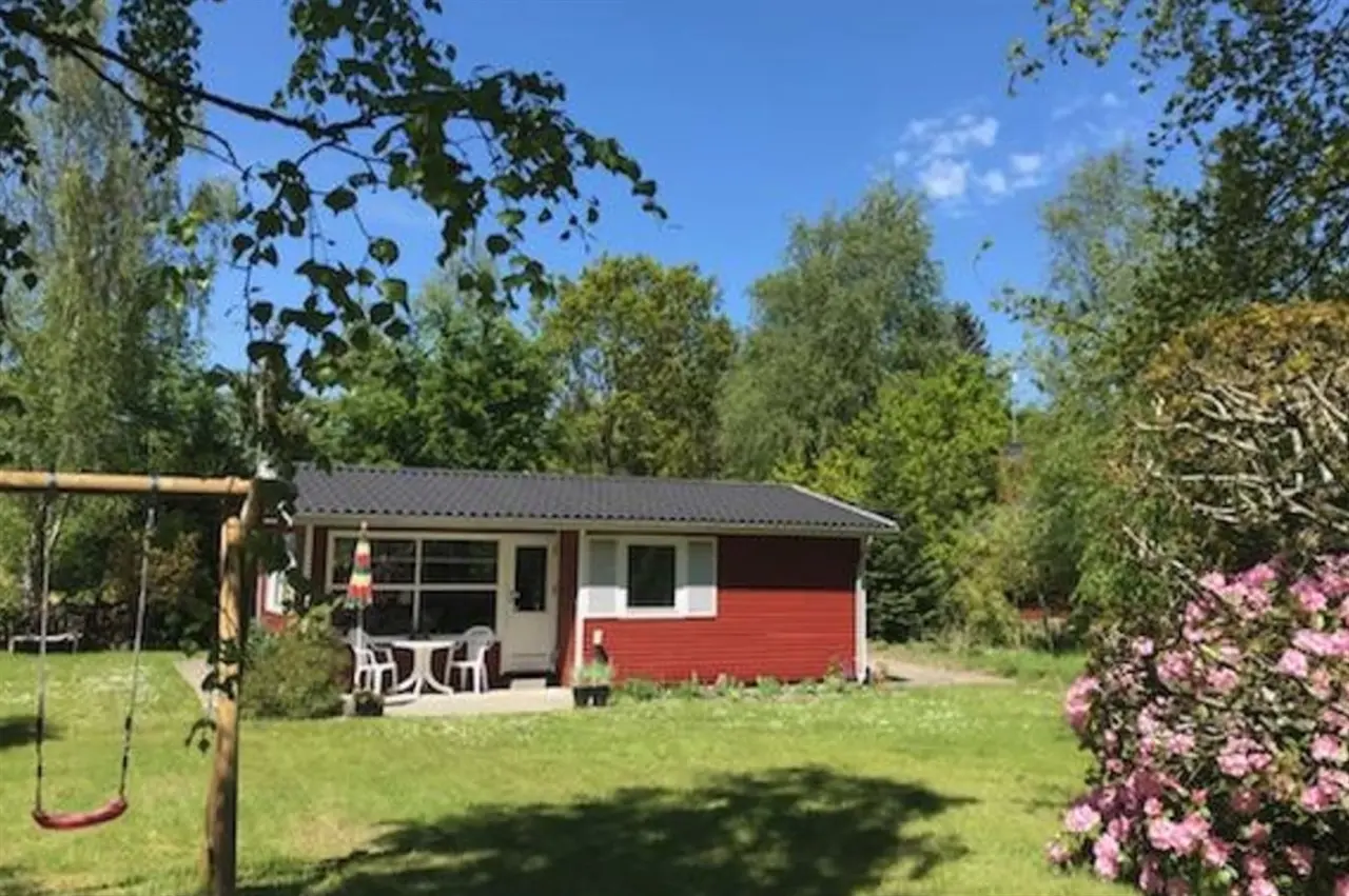 foto1