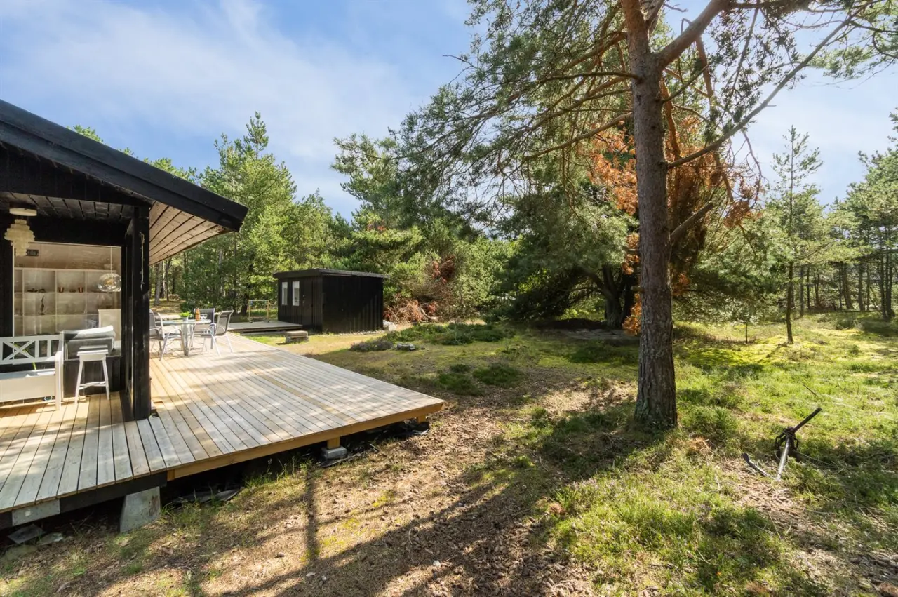 foto10