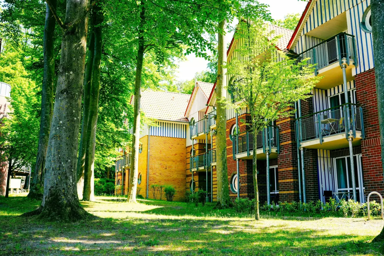foto17