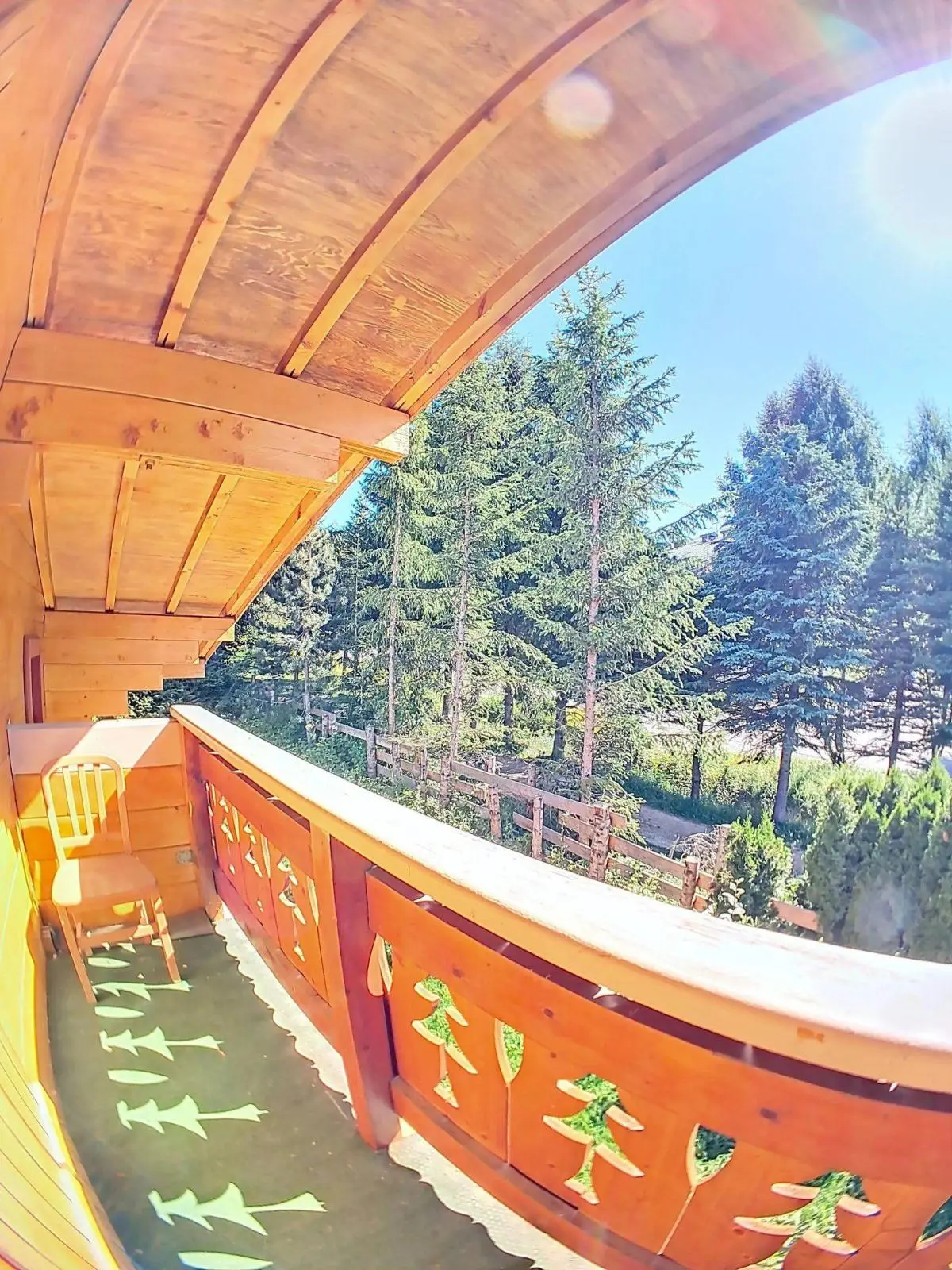 foto17