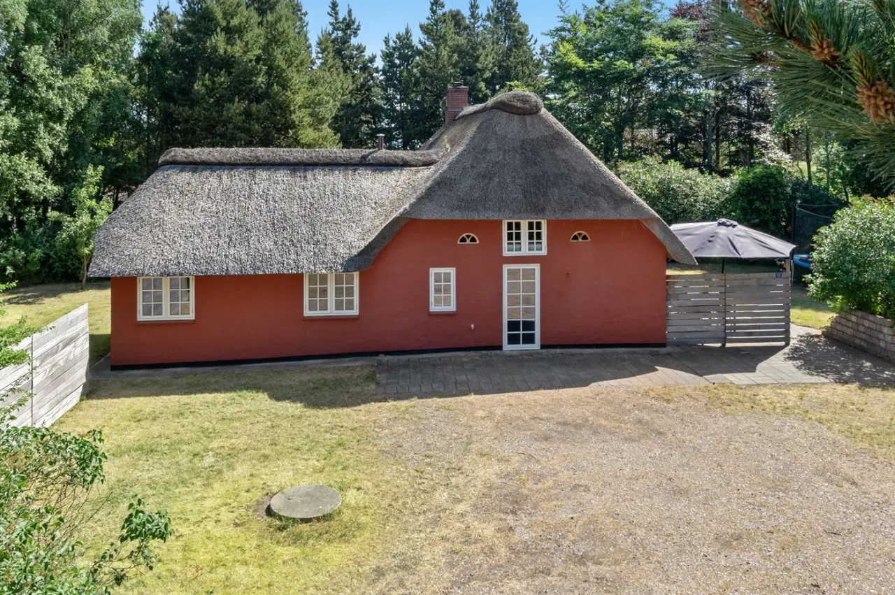 foto12