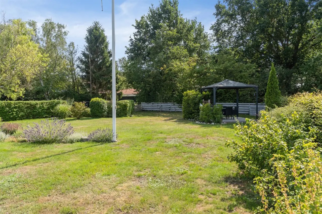 foto23