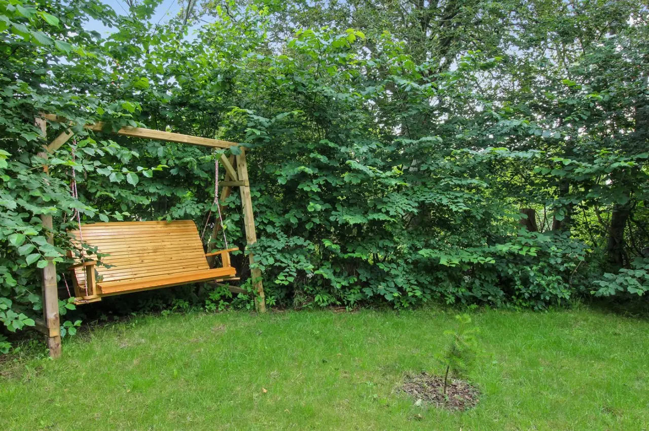 foto23