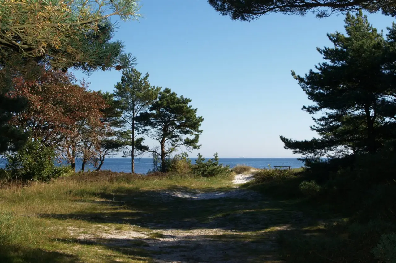 foto17