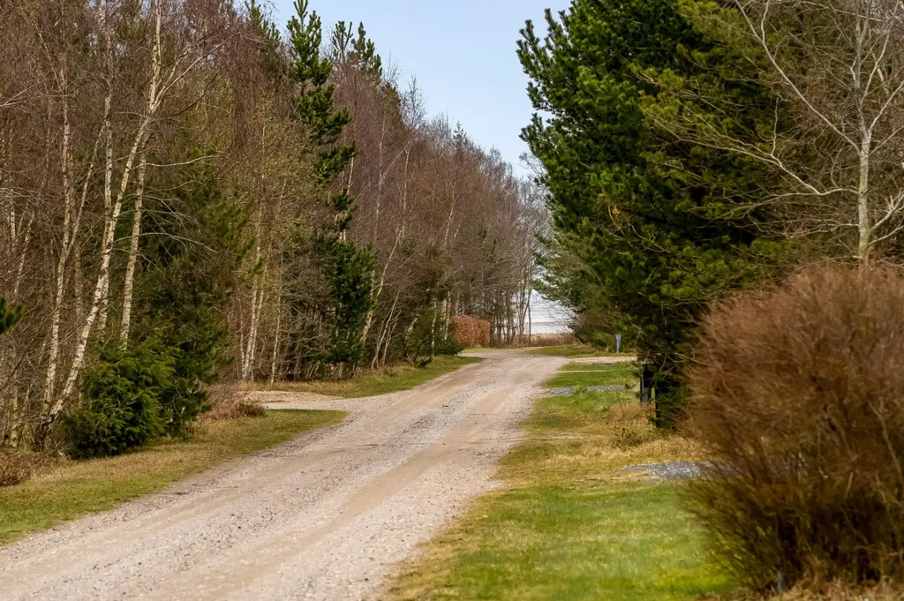 foto23
