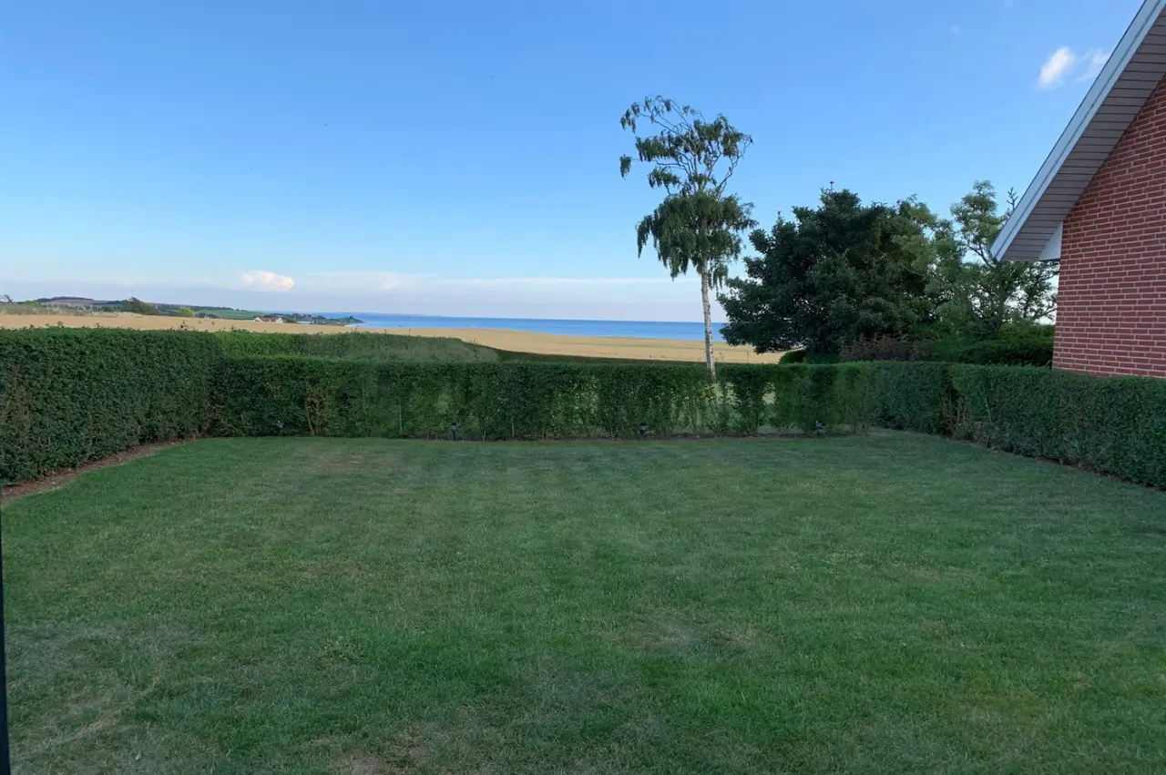 foto2