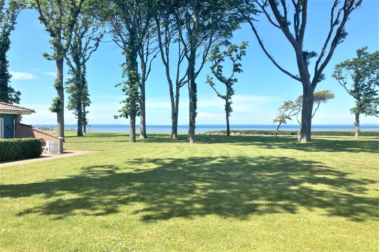 foto16