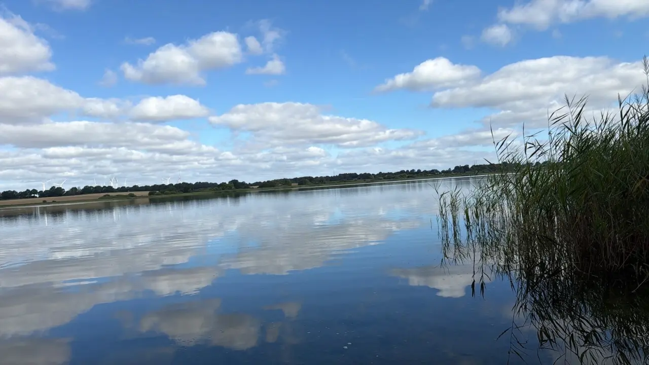 foto19
