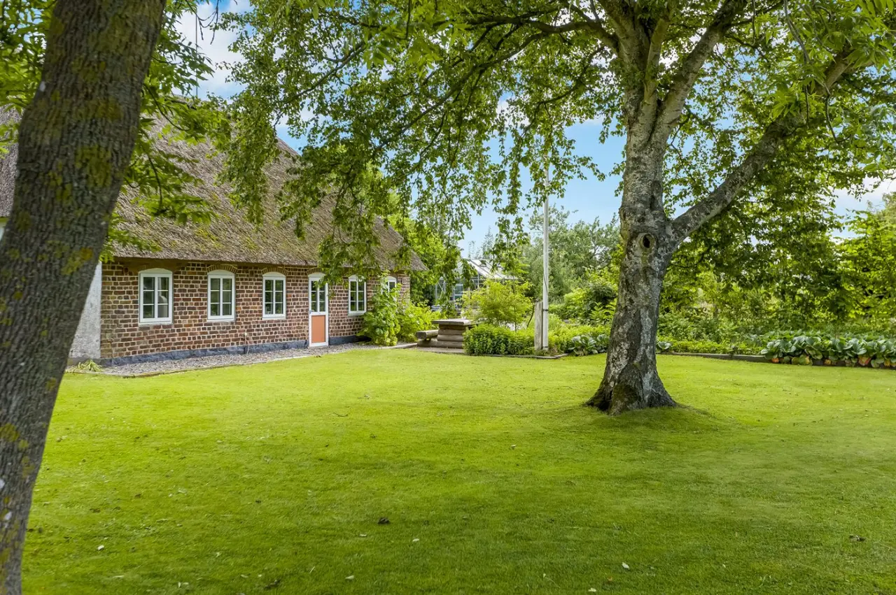 foto1