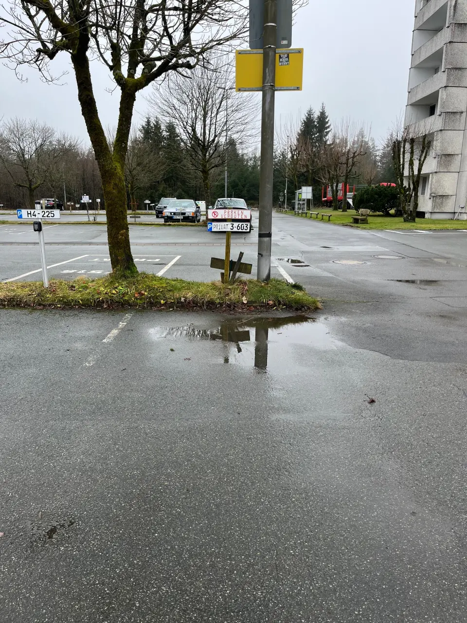 foto16