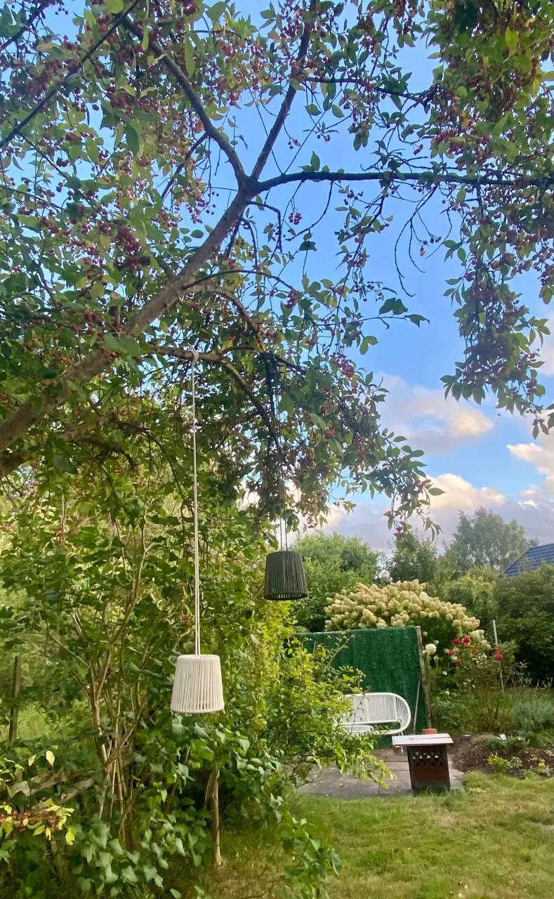 foto34