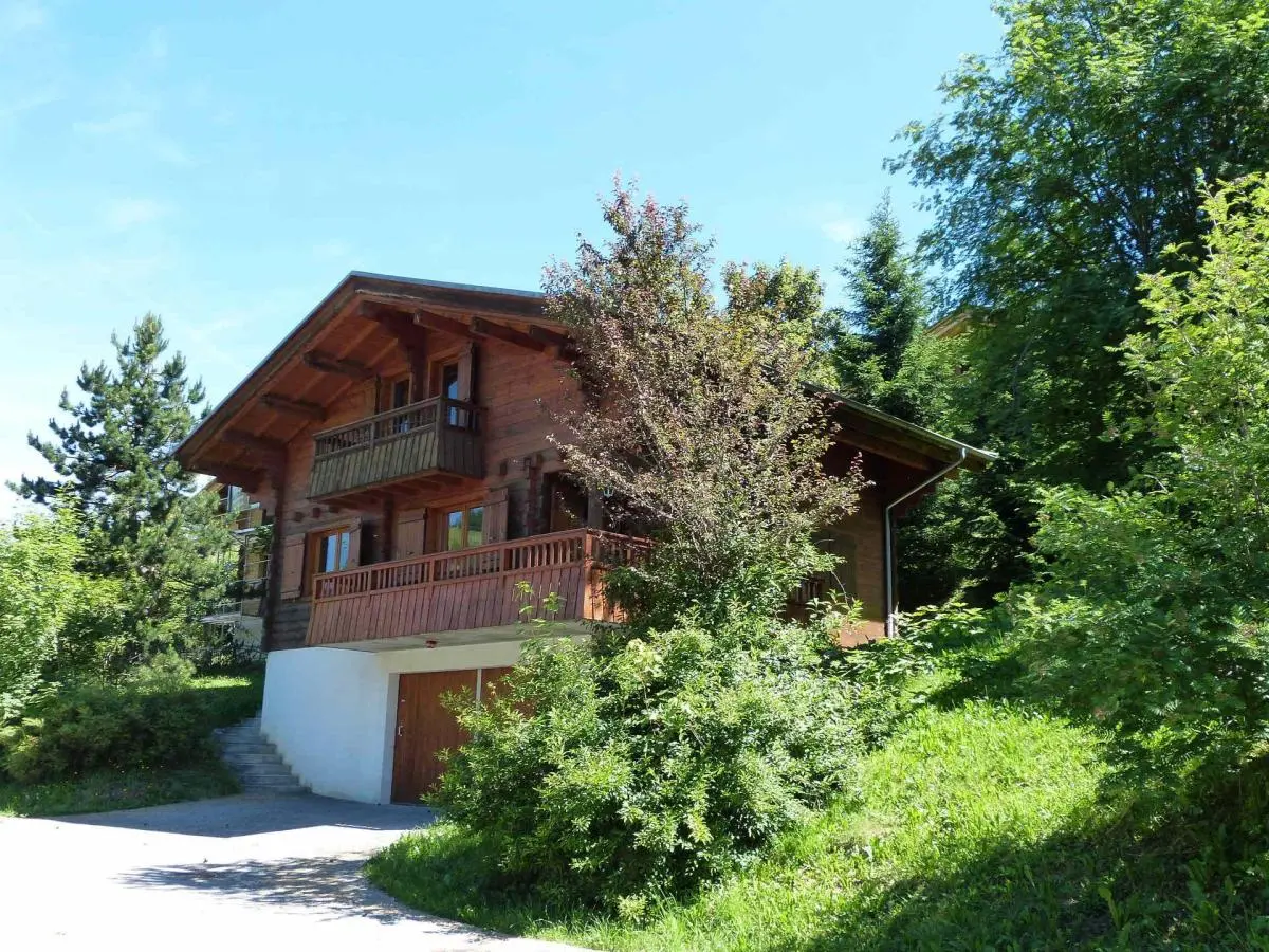 foto11