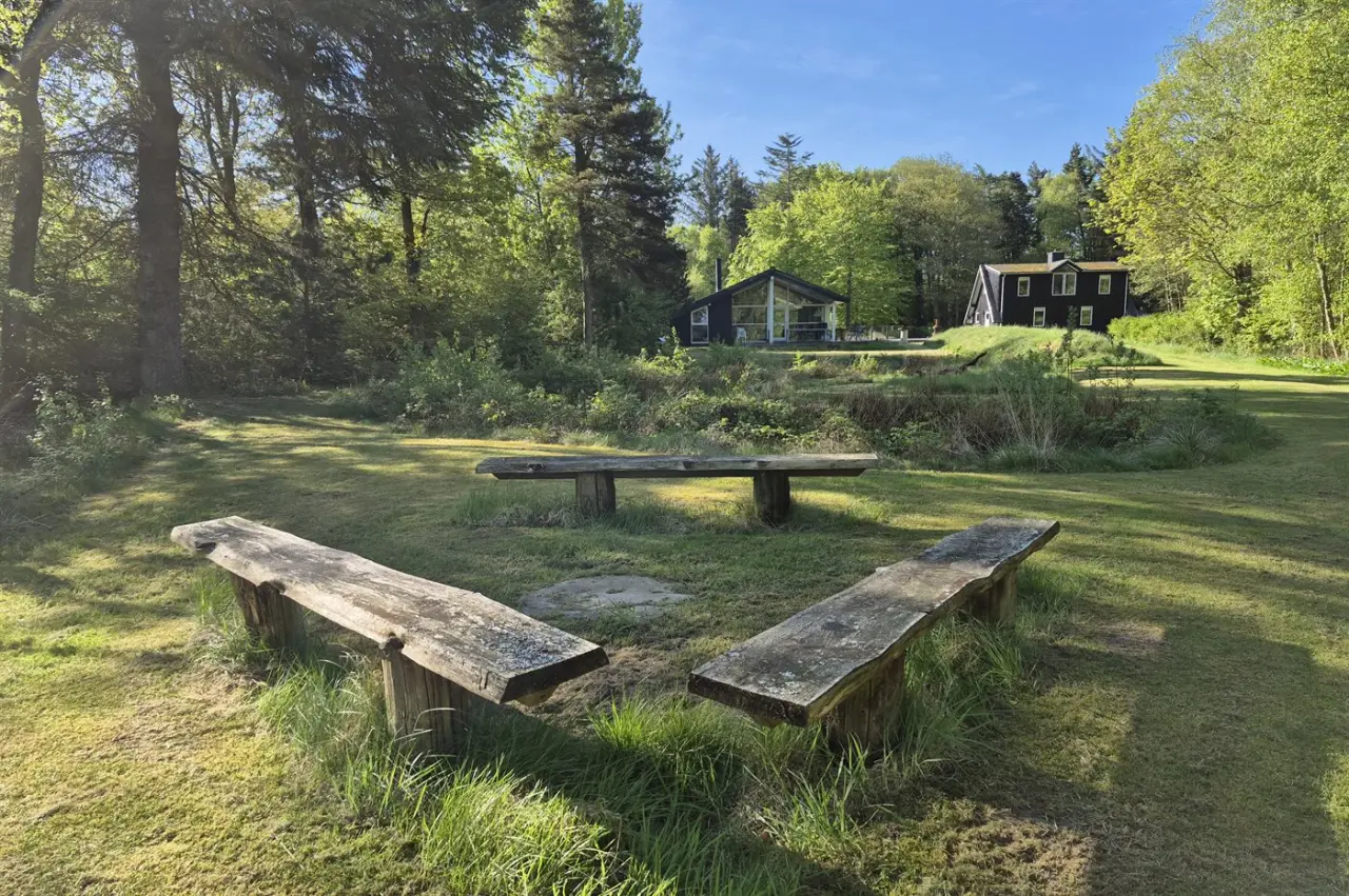 foto17