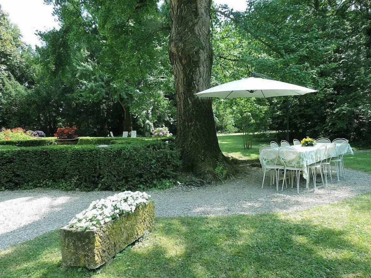 foto16