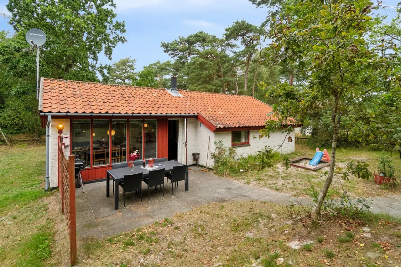 foto3