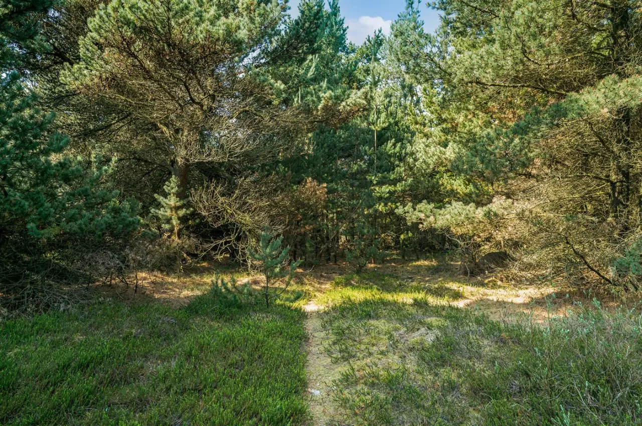 foto21