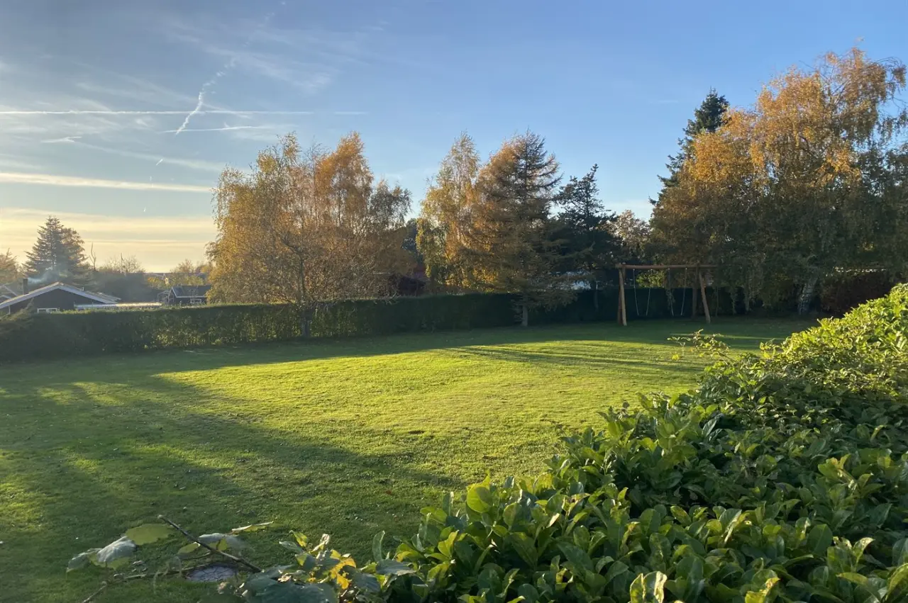 foto20