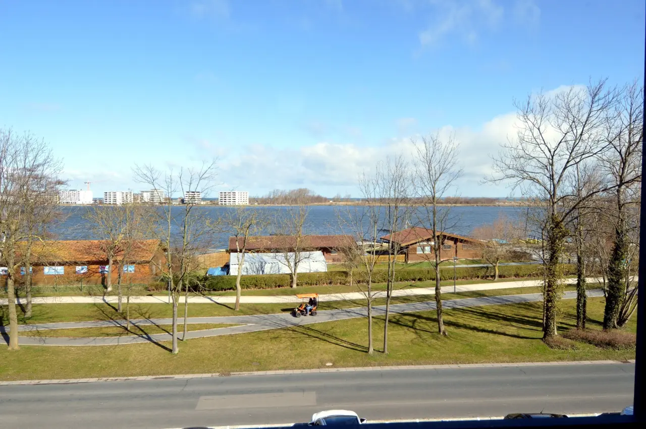 foto2