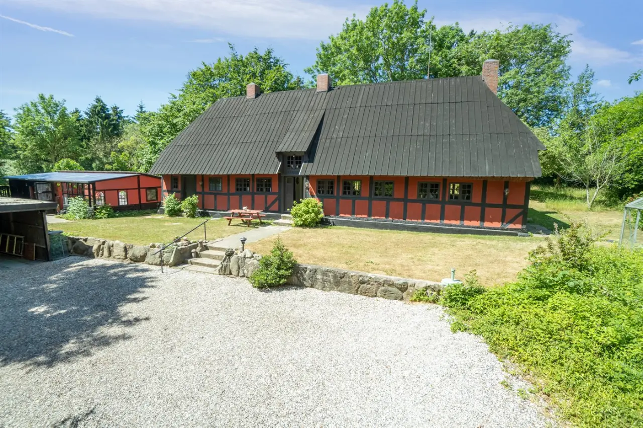 foto1