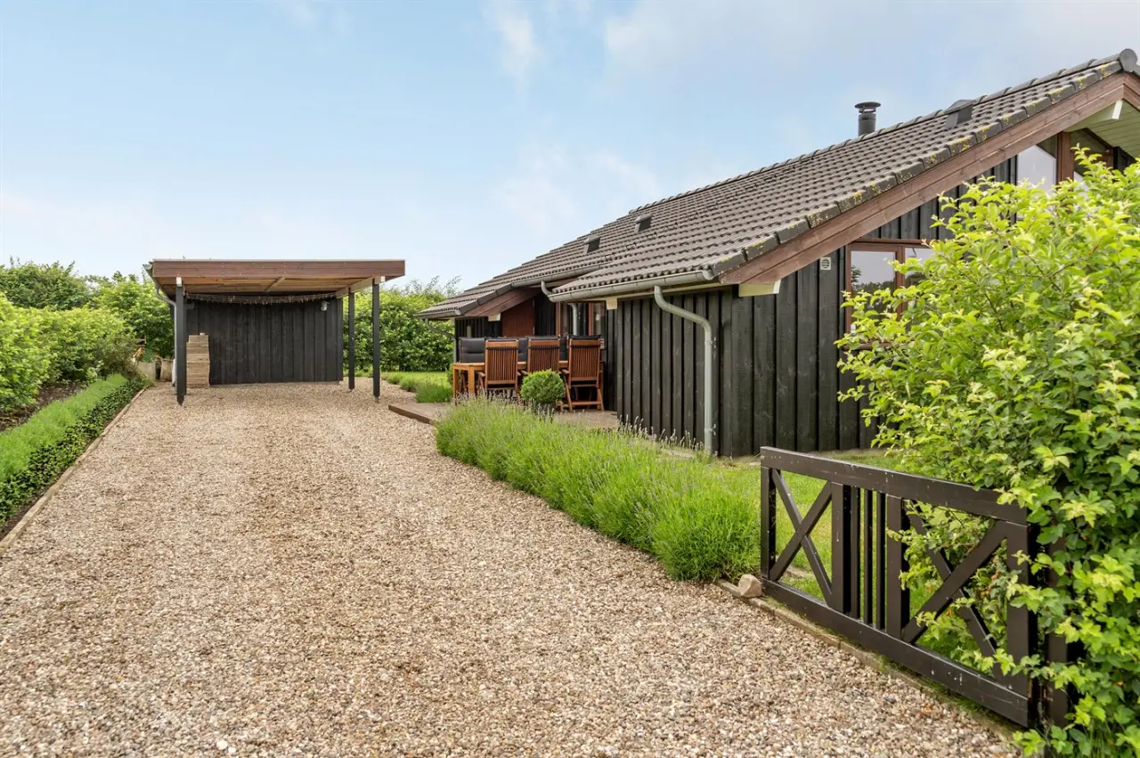 foto31