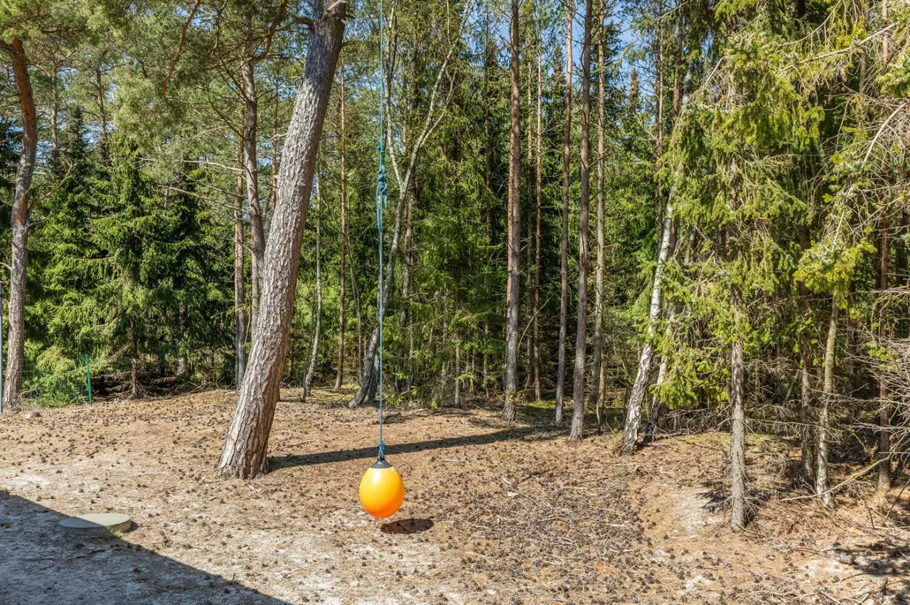 foto25