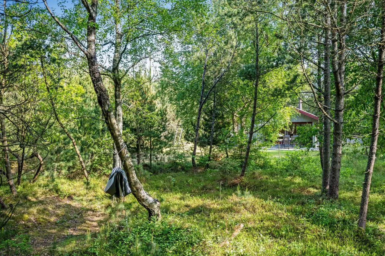 foto17