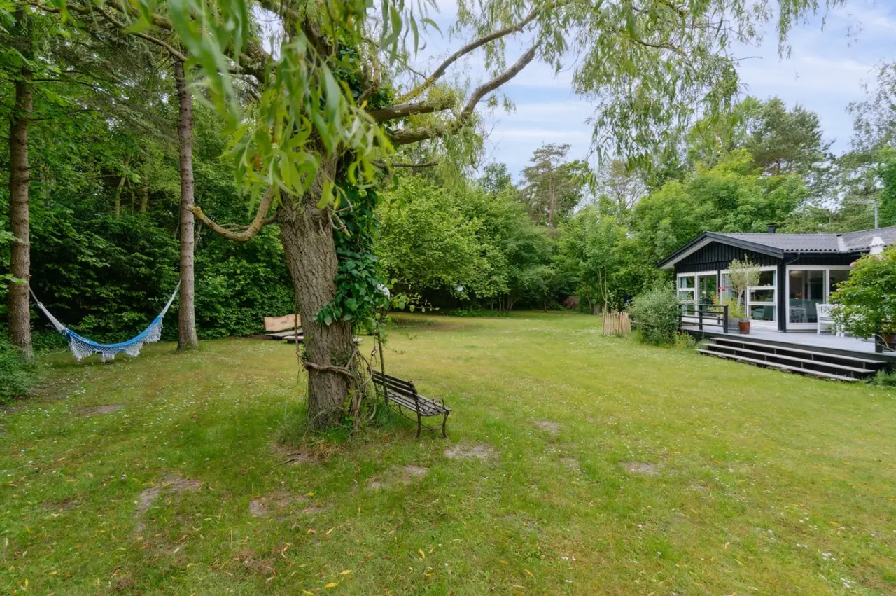 foto24