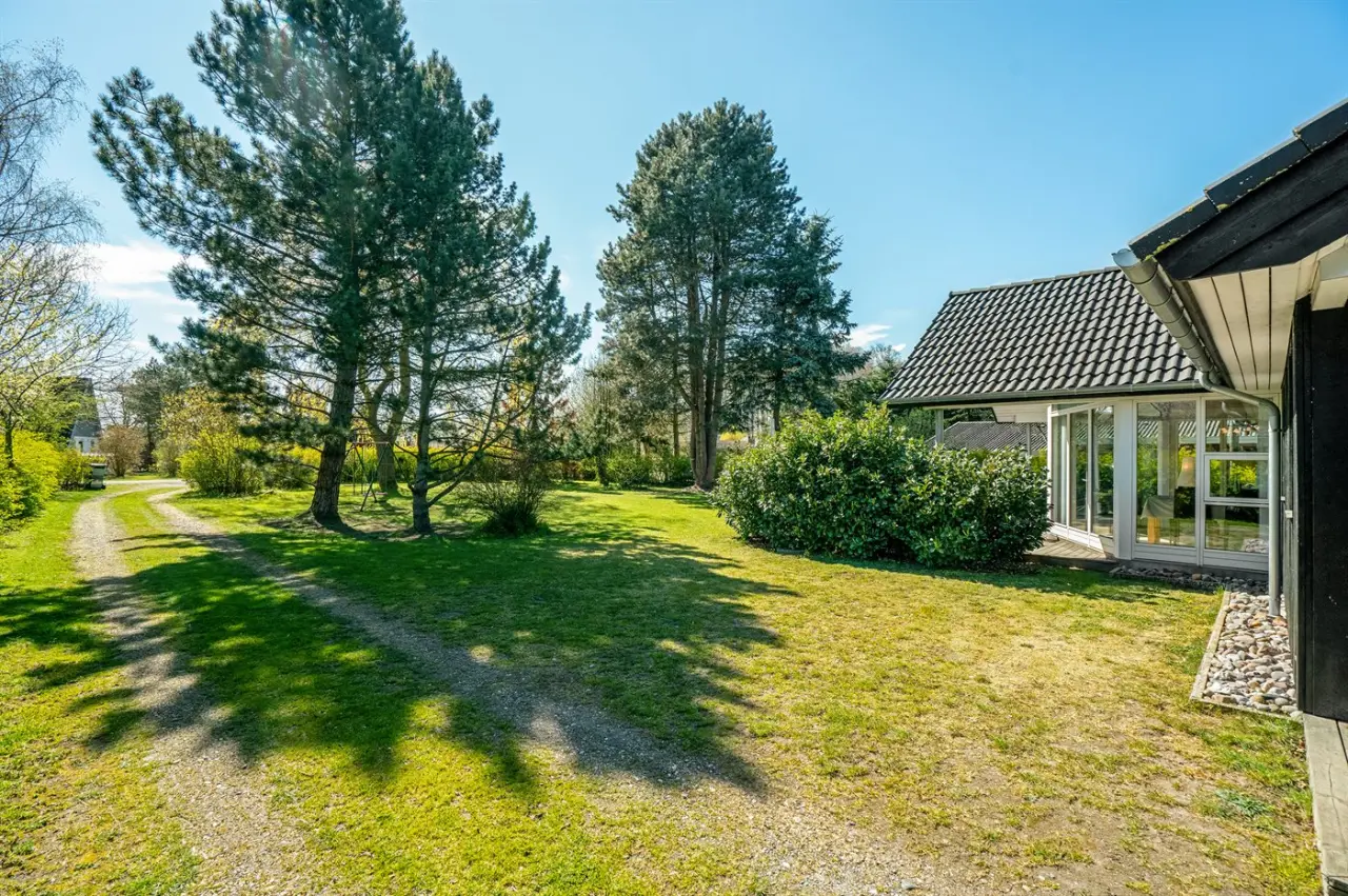 foto36