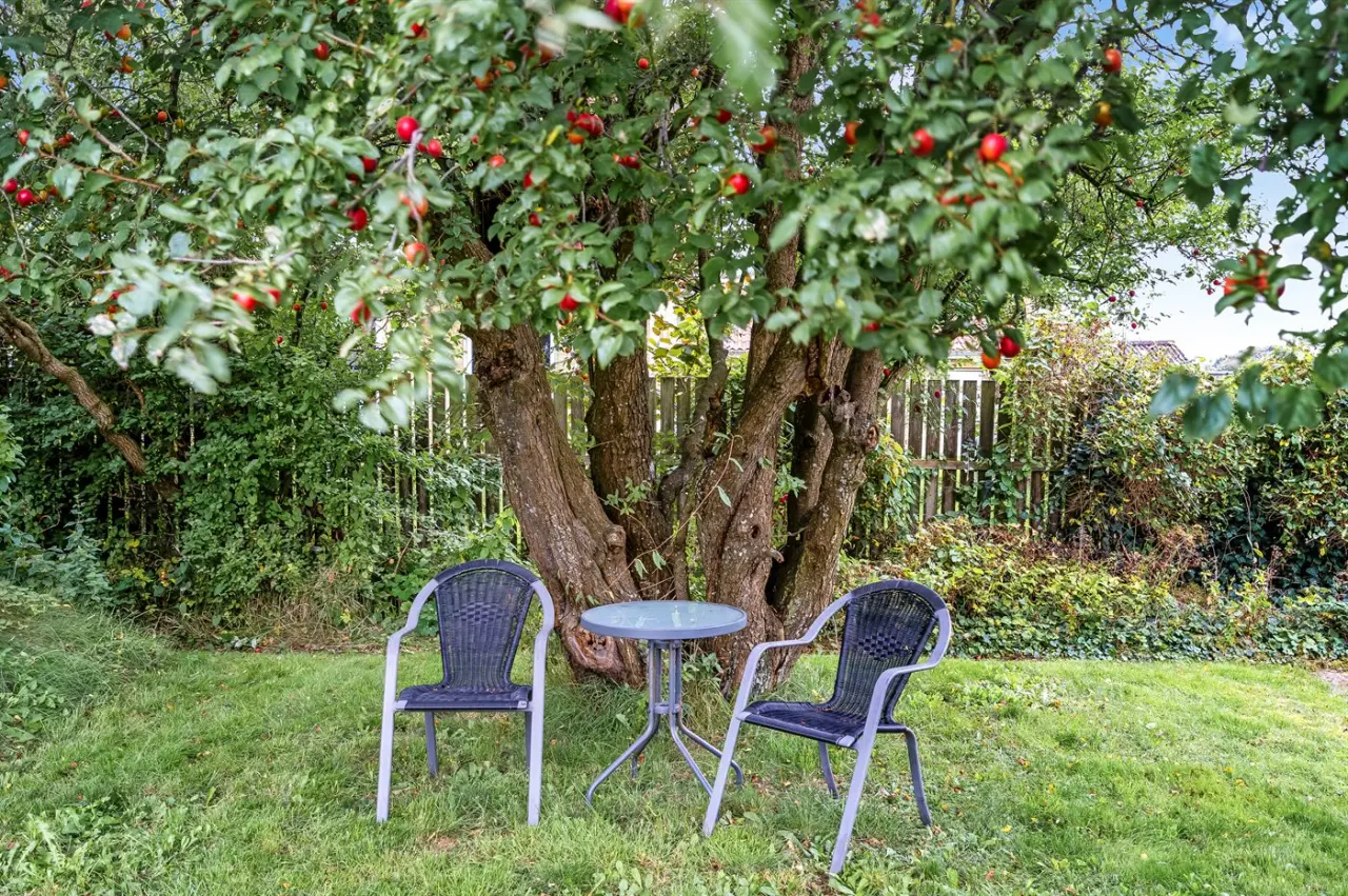 foto16