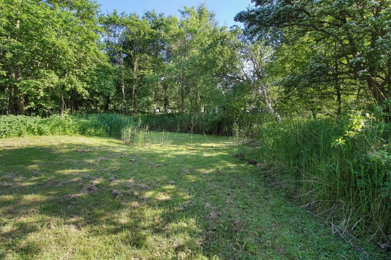 foto13
