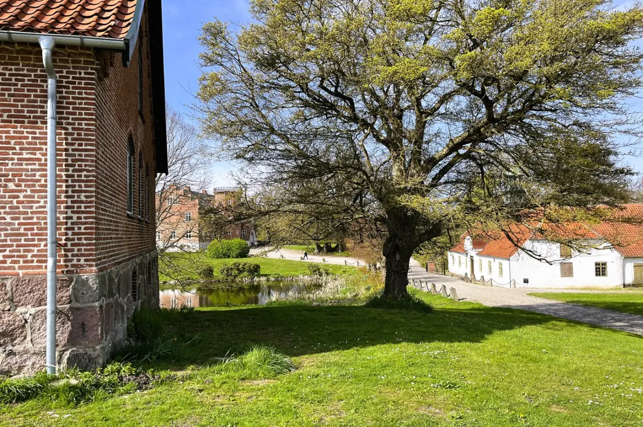 foto44