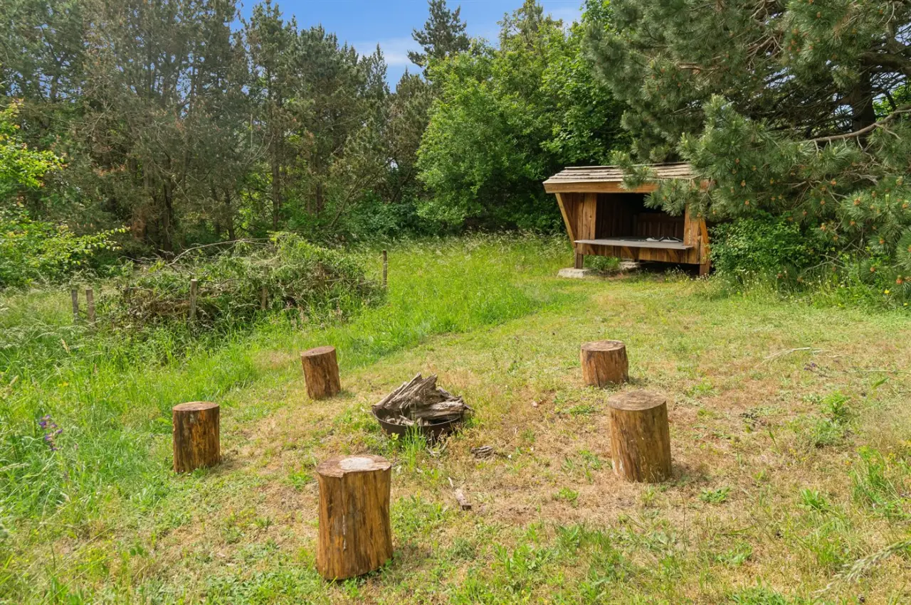 foto19