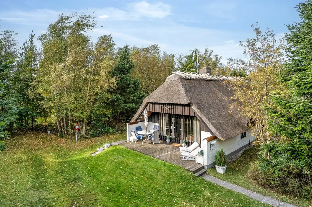 foto1