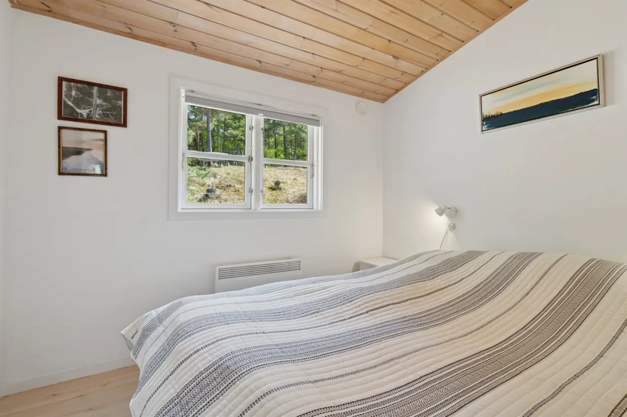 foto12