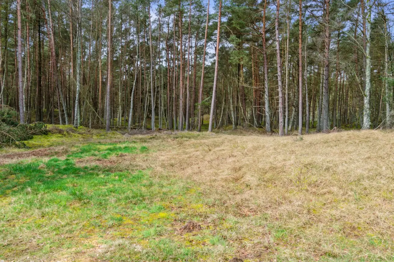foto23