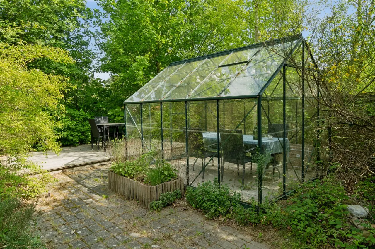 foto17