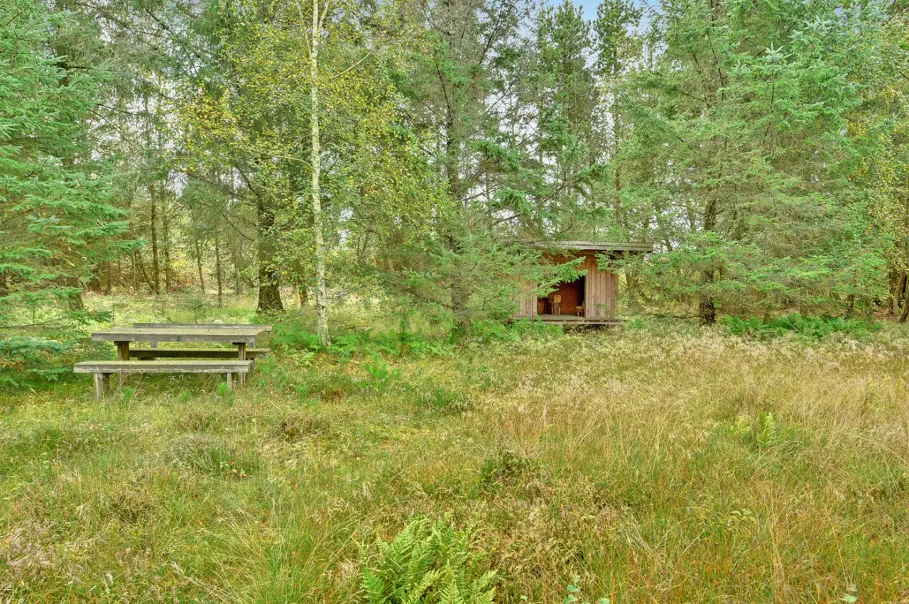 foto22