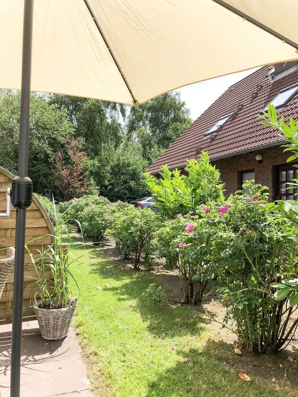 foto20